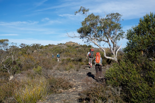 Wollangambe Crater Walk | David Noble Blog