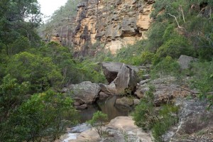 Blue Mountains Weekend – 21-22 December 2013 | David Noble Blog