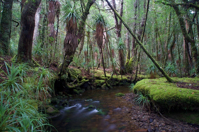 The Overland Track – Tasmania 14 – 27 April 2014 | David Noble Blog