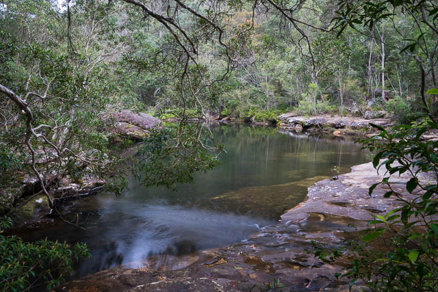 Sassafras Gully in Springwood – 4 September 2014 | David Noble Blog